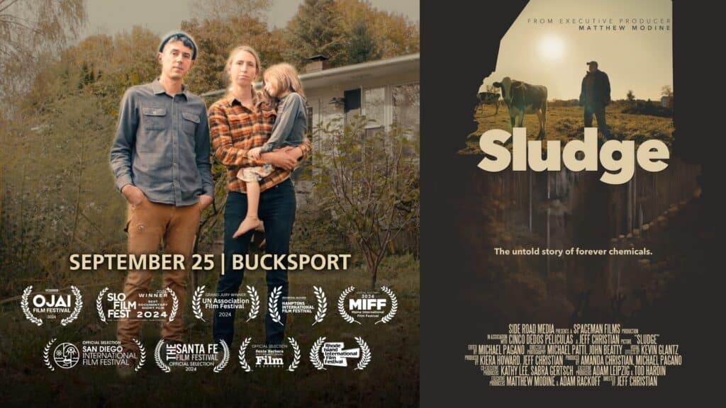 sludge film