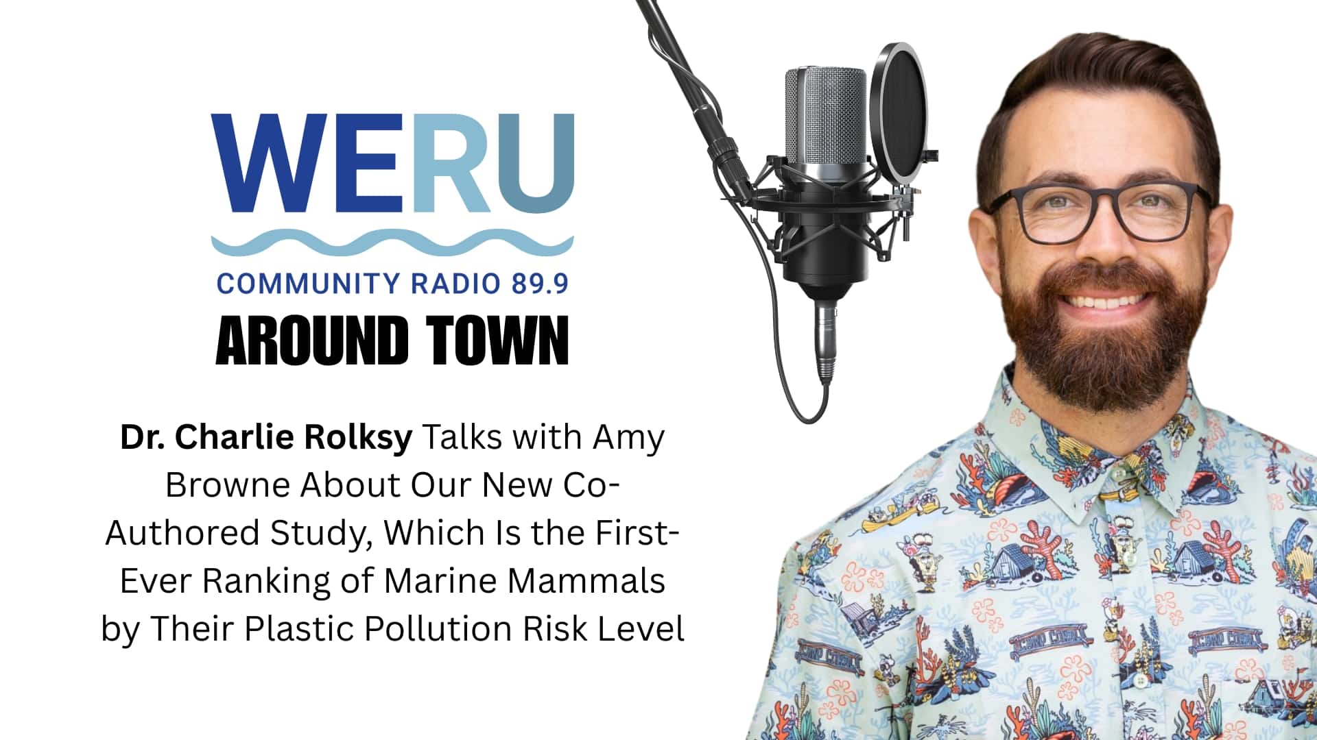 Robertm Rolsky Marine Mammals Ranked By Plastic Pollution Risk