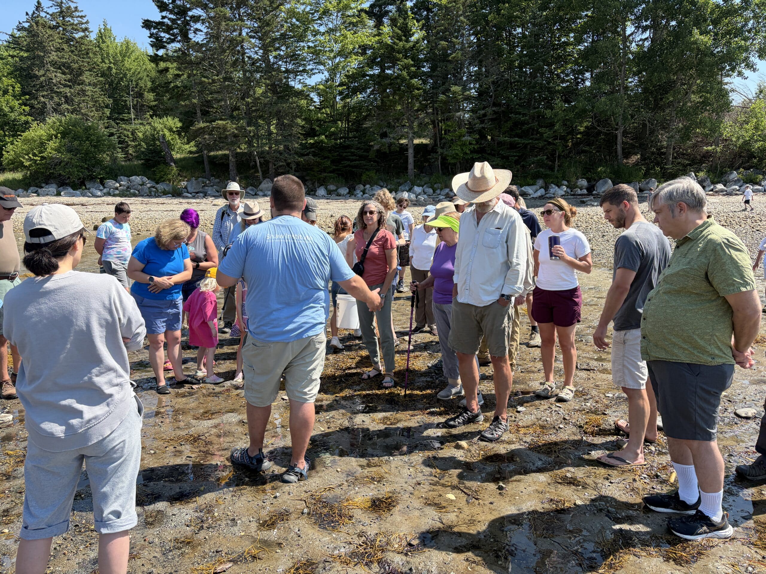 A group of 20 people gathered at a beach in Blue Hill, Maine.