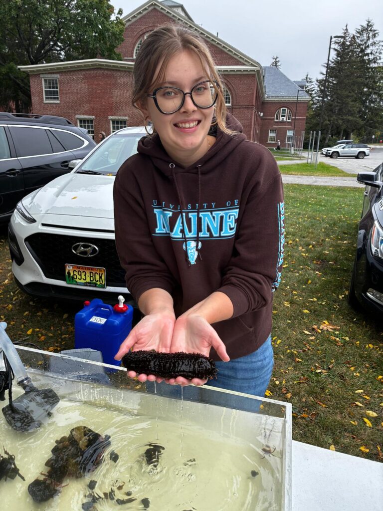 Hana wears a chocolate-brown hoodie with bright blue lettering that spells "University of Maine" on the front while she holds a sea critter outside of its aquarium in both hands while smiling at the camera.