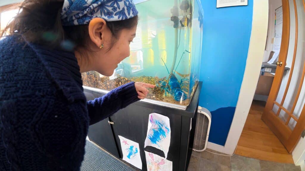 Dani points to Blucifer in his aquarium.